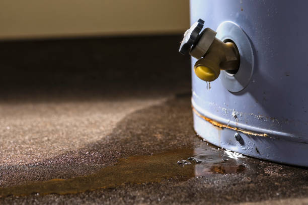 Local water damage restoration in Westport, NC