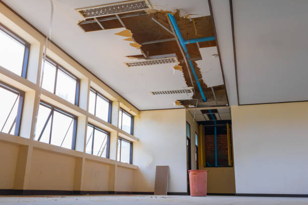 Best Water damage restoration near me  in Westport, NC