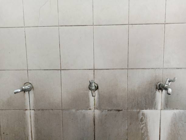 Best Residential water damage restoration  in Westport, NC