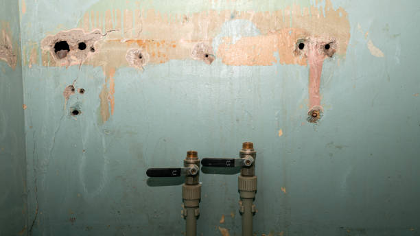 Best Carpet water damage restoration  in Westport, NC