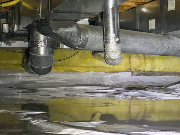 Best Local water damage restoration  in Westport, NC