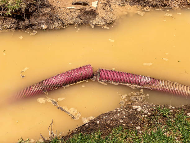 Best Water damage restoration process  in Westport, NC
